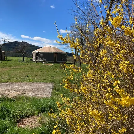 Yourte Confort Eco-responsable Luxury tent Saint-Pierre-Eynac